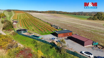 Prodej ovocného sadu, 70922 m², Fulnek - 8