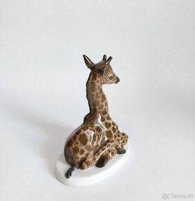 Starožitná porcelánová figurka žirafy - ROSENTHAL - 8