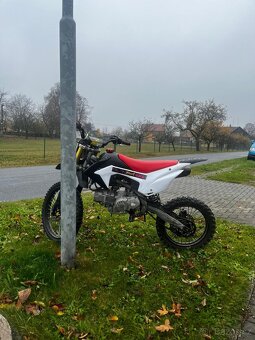 Pitbike Wpb 190 Stomp větší kola 19/16 - 8