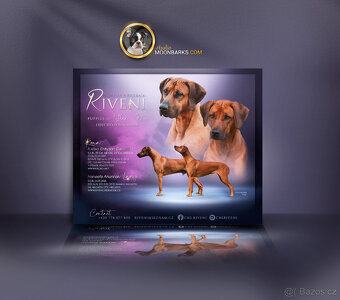 Moonbarks - Designová grafika pro chovatele - od r. 2009 - 8