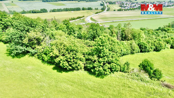 Prodej lesa, 12990 m², Vyšehoří - 8