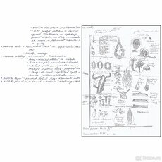 Maturitní otázky - biologie - 8