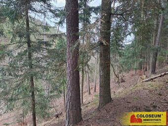Letovice, lesní pozemky, 12 020 m2 – pozemek - 8