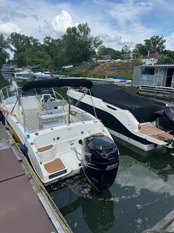 lod odyssey 21 sundeck - 8