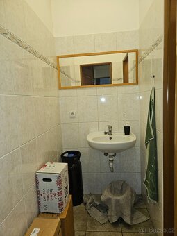 Pronájem obchodu poblíž Auparku Hradec Králové - 8