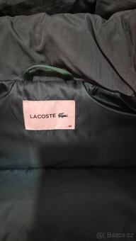 Lacoste bunda - 8
