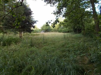 Prodej louky 3266 m² - 8