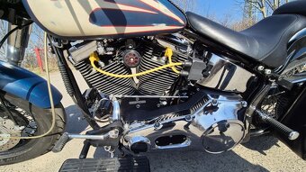 Harley-Davidson Evo - 8