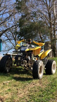 Bashan 250 - 8