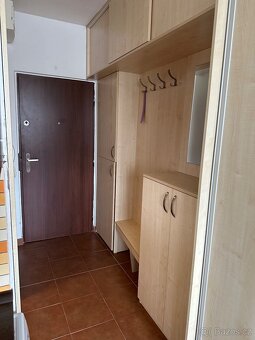 Dlouhodobý pronájem 1+1 Karlovy Vary - 8