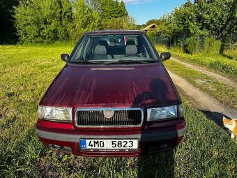 Felicie 1,3 mpi - 8