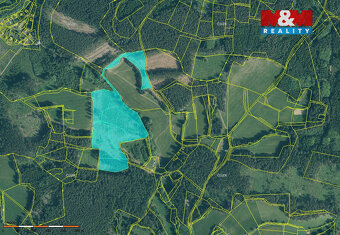 Prodej lesa, 37567 m², Vacovice - 8