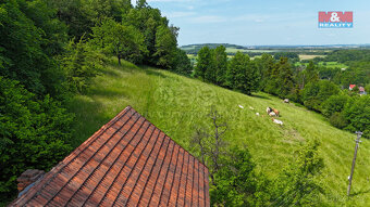Prodej usedlosti s velkými pozemky, Janovice - 8