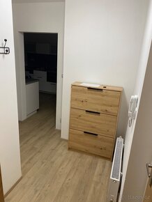 Vybavený byt 2+1 k pronájmu - 8
