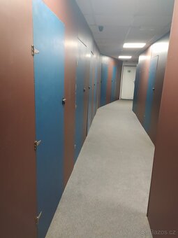 SLADOVACI KOJI PLZEN. - 8