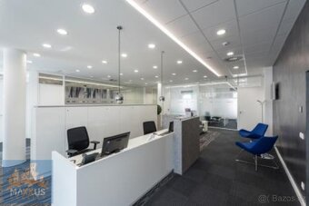 IP PAVLOVA - pronájem reprezentativní kanceláře (13 m2), Pra - 8