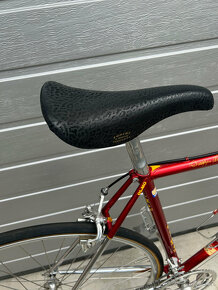 Olmo la Biciclissima - 8