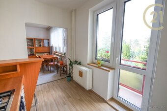 Pronájem bytu 2+1, 58 m² – Brno, ul. Tábor (Žabovřesky) - 8