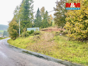 Prodej pozemku k bydlení, 2024m², Horní Orlice, Červená Voda - 8