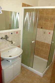 Pronájem 3+1 Dr. Stejskala, České Budějovice - 8