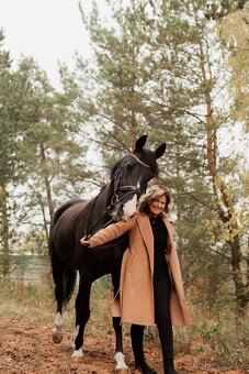 Zatím půlpronajem koně - 8