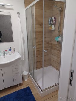 Pronájem zrekonstruovaného bytu 3+1 (76 m²) s balkonem - 8