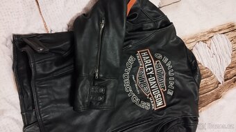 Harley Davidson XL - 8