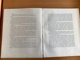 Božena Němcová: Pohorská vesnice, Česká grafická unie, 1921 - 8