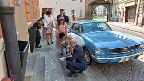 Mustang 1966 l6, 3,3l, super zvuk, po renovaci - 8
