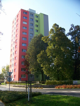 Pronájem 1+1 Česká Lípa, centrum města. - 8
