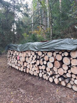 Palivové dřevo "suché" - 8