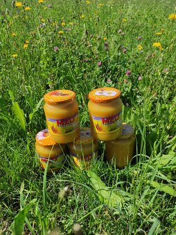 Včelí med květový,lesní,květový ,pastovaný - 8