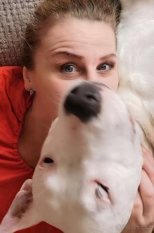 Pohlidám vašeho pejska. Plzeň - 8