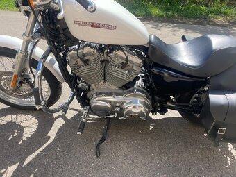 Harley Davidson XL883 - 8