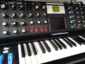 Moog Voyager Electric Blue Edition - 8
