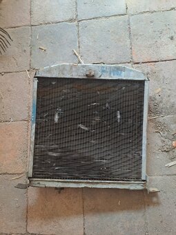 Felicia octavia spartak veterán - 8