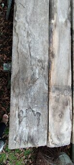 Dubové fošny 80 až 100 let staré - 8