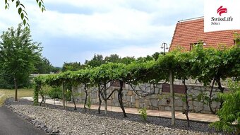 Prodej vily 662 m2, Jiřice u Miroslavi - 8