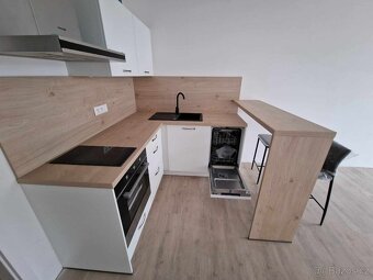 OLomouc Aloise Rašína 1+kk - 8