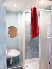 Pronájem vybaveného bytu 1+kk - 8