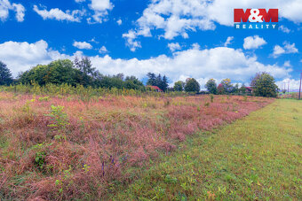 Prodej pozemku k bydlení, 3026 m², Kolešovice - 8