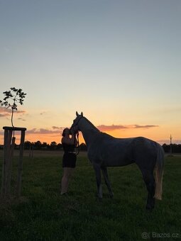 Poloviční pronájem - 8