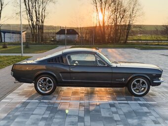 Ford Mustang 289 V8 FASTBACK - 8