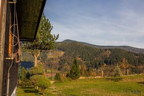 Prodej, atraktivní rekreační nemovitost, Ostravice - 8