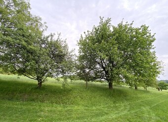 Bezuchov, stavební pozemek 3440m2 - 8