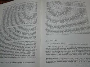 J. A. Komenský - 8
