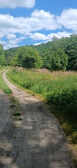 Stavební pozemek na stavbu rekreační chaty s rybníkem - 8