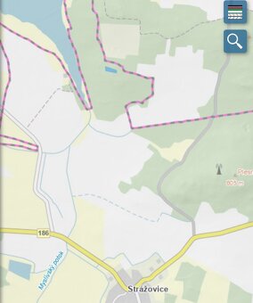 Lesní pozemek Strážovice u Pačejova - 8