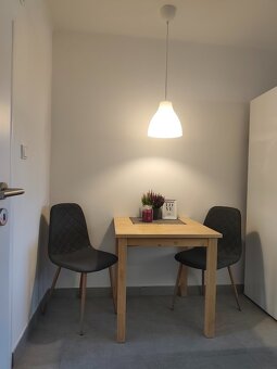 Pronájem bytu 2+1 Strakonice - 8