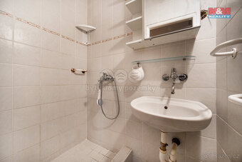 Prodej zemědělské usedlosti, 185 m², Čistá - 8